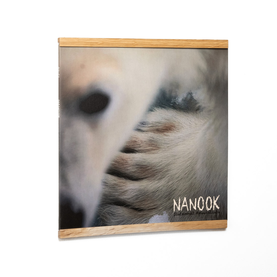 Display voor vinylplaten – ENKEL exemplaar in eikenhout